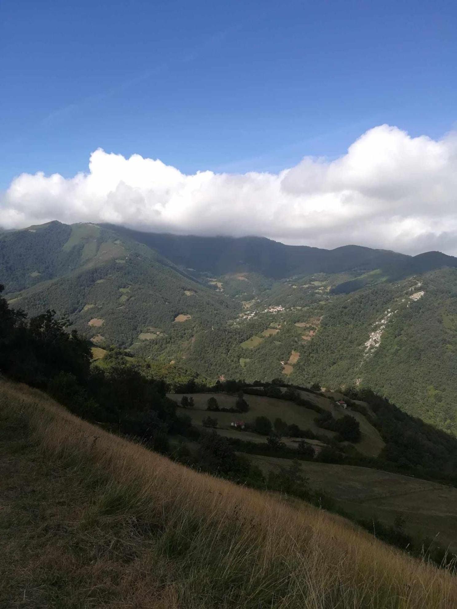 Asturias Boho Chic Lejlighed Aller Eksteriør billede