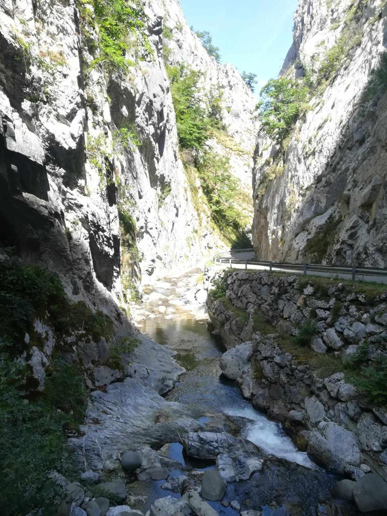 Asturias Boho Chic Lejlighed Aller Eksteriør billede