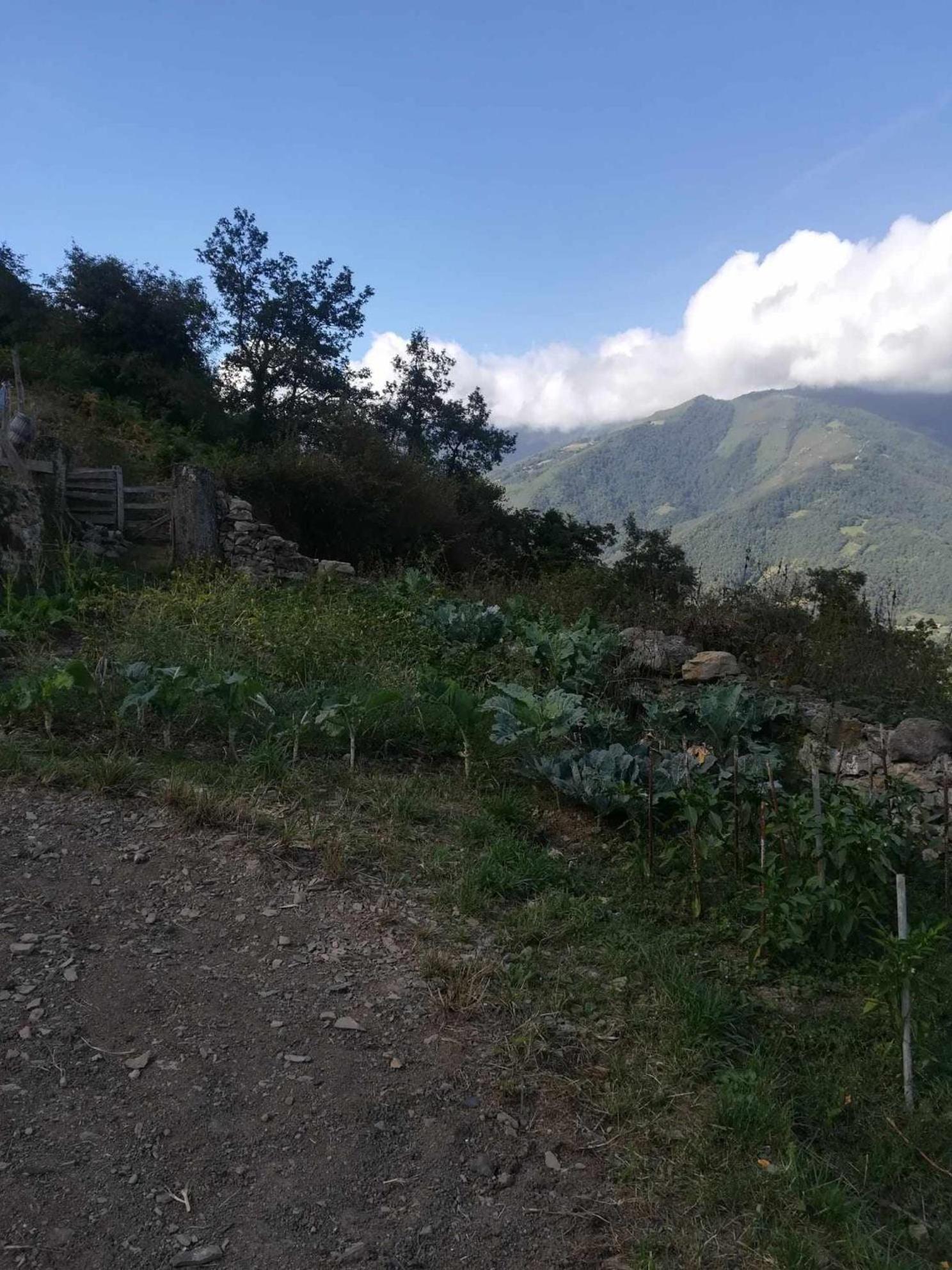 Asturias Boho Chic Lejlighed Aller Eksteriør billede