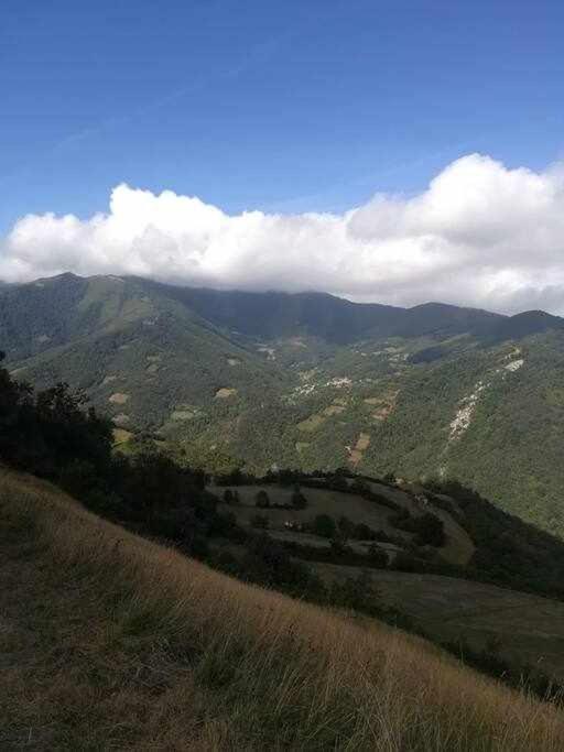 Asturias Boho Chic Lejlighed Aller Eksteriør billede