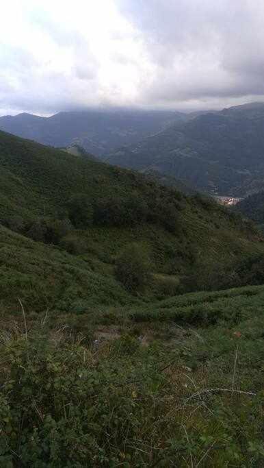 Asturias Boho Chic Lejlighed Aller Eksteriør billede
