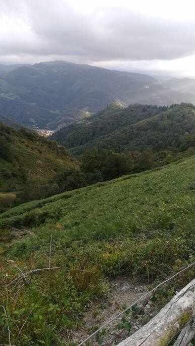 Asturias Boho Chic Lejlighed Aller Eksteriør billede